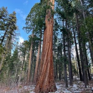 Meet your Posher, Martha